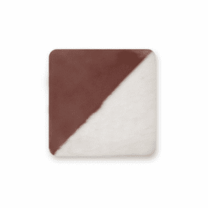 Pigmento Salmón 4955 Carbany 25gr